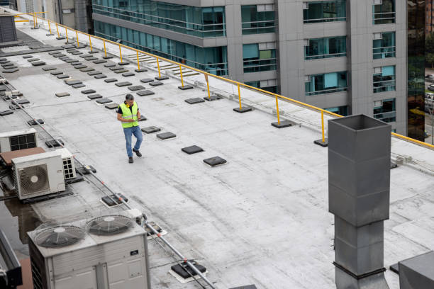 Best Roof Insulation Installation  in Wesley Chapel, FL